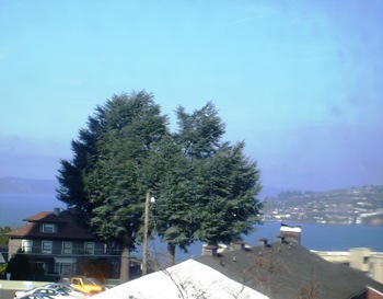 Walk to downtown shops, waterfront restaurants & Antique Row from this Seattle Tacoma vacation rentals cottage.